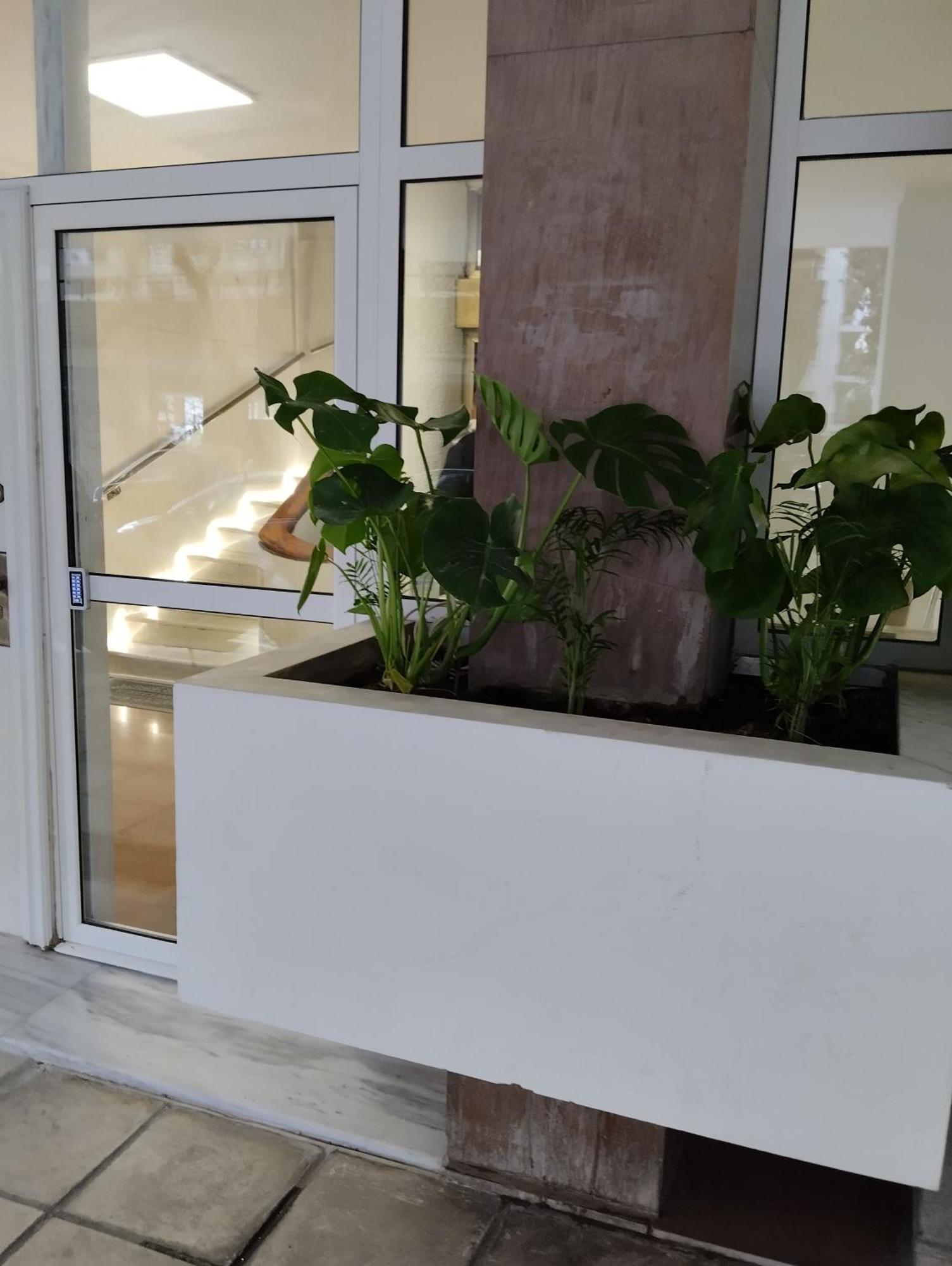 Apartment Pansea 13 Exclusive *